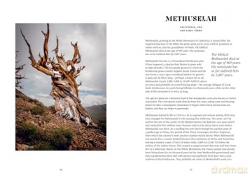 The History Trees: New for 2025, extraordinary tales of famous forests and natural landmarks around the world, with roots in history through to today [KSIĄŻKA]