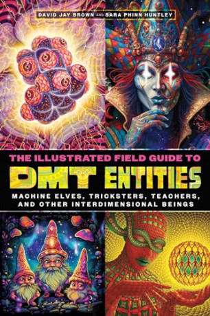 The Illustrated Field Guide to DMT Entities: Machine Elves, Tricksters, Teachers, and Other Interdimensional Beings [KSIĄŻKA]