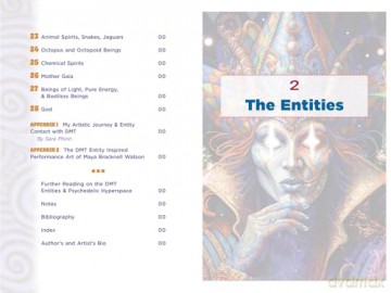The Illustrated Field Guide to DMT Entities: Machine Elves, Tricksters, Teachers, and Other Interdimensional Beings [KSIĄŻKA]