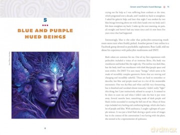 The Illustrated Field Guide to DMT Entities: Machine Elves, Tricksters, Teachers, and Other Interdimensional Beings [KSIĄŻKA]
