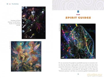 The Illustrated Field Guide to DMT Entities: Machine Elves, Tricksters, Teachers, and Other Interdimensional Beings [KSIĄŻKA]