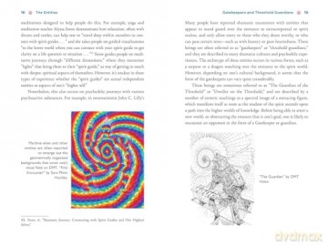 The Illustrated Field Guide to DMT Entities: Machine Elves, Tricksters, Teachers, and Other Interdimensional Beings [KSIĄŻKA]