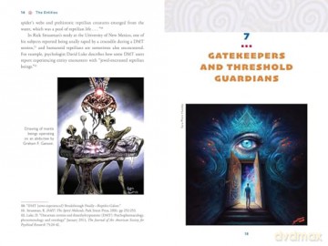 The Illustrated Field Guide to DMT Entities: Machine Elves, Tricksters, Teachers, and Other Interdimensional Beings [KSIĄŻKA]