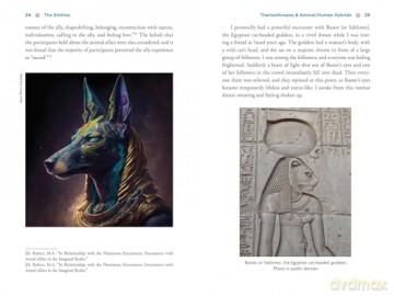 The Illustrated Field Guide to DMT Entities: Machine Elves, Tricksters, Teachers, and Other Interdimensional Beings [KSIĄŻKA]