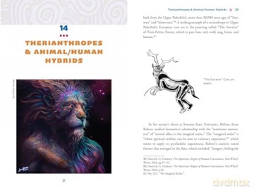 The Illustrated Field Guide to DMT Entities: Machine Elves, Tricksters, Teachers, and Other Interdimensional Beings [KSIĄŻKA]