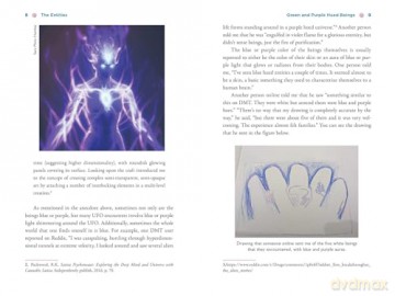 The Illustrated Field Guide to DMT Entities: Machine Elves, Tricksters, Teachers, and Other Interdimensional Beings [KSIĄŻKA]