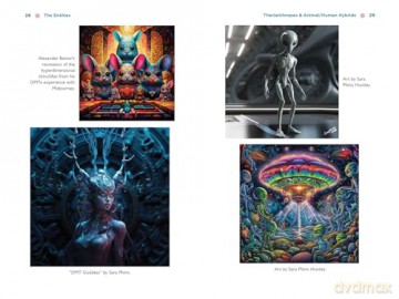 The Illustrated Field Guide to DMT Entities: Machine Elves, Tricksters, Teachers, and Other Interdimensional Beings [KSIĄŻKA]
