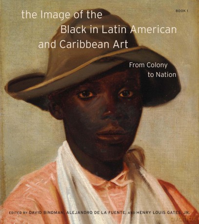The Image of the Black in Latin American and Caribbean Art, Book 1: From Colony to Nation [KSIĄŻKA]