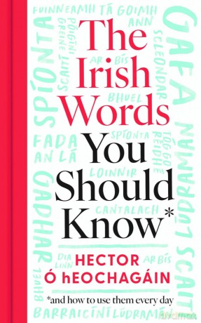 The Irish Words You Should Know: and how to start using them again: and how to use them every day [KSIĄŻKA]
