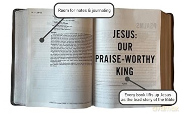The Jesus Bible Artist Edition, ESV, Leathersoft, Multi-color/Teal: English Standard Version, Multi-Color/Teal, Leathersoft [KSIĄŻKA]