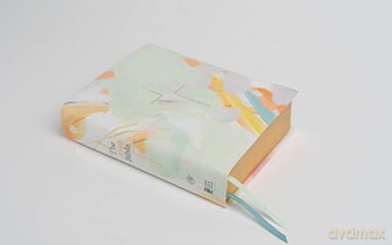 The Jesus Bible Artist Edition, ESV, Leathersoft, Multi-color/Teal: English Standard Version, Multi-Color/Teal, Leathersoft [KSIĄŻKA]