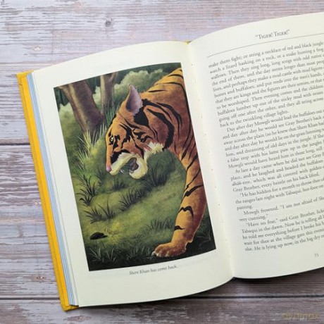 The Jungle Book Bath Treasury of Children's Classics [KSIĄŻKA]