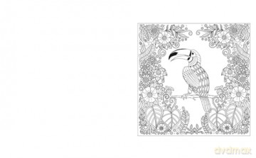 The Jungle Colouring Book: Go Wild With These Tropical Images [KSIĄŻKA]