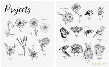 The Kew Book of Drawing Flora and Fauna: 20 stunning step-by-step tutorials [KSIĄŻKA]
