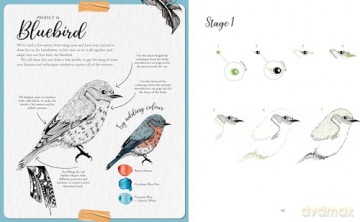 The Kew Book of Drawing Flora and Fauna: 20 stunning step-by-step tutorials [KSIĄŻKA]