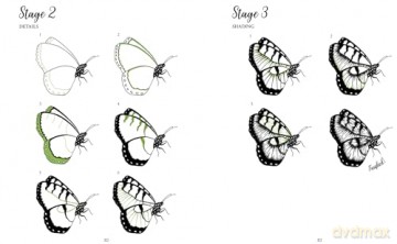 The Kew Book of Drawing Flora and Fauna: 20 stunning step-by-step tutorials [KSIĄŻKA]