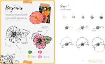The Kew Book of Drawing Flora and Fauna: 20 stunning step-by-step tutorials [KSIĄŻKA]