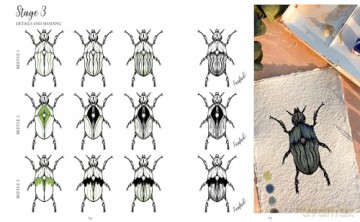 The Kew Book of Drawing Flora and Fauna: 20 stunning step-by-step tutorials [KSIĄŻKA]