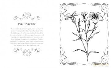 The Language of Flowers Colouring Book: Discover the hidden messages of these beautiful floral images [KSIĄŻKA]