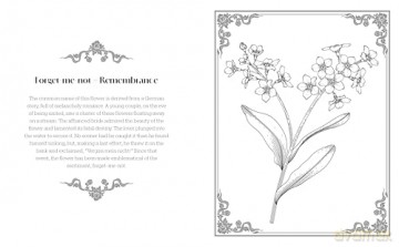 The Language of Flowers Colouring Book: Discover the hidden messages of these beautiful floral images [KSIĄŻKA]