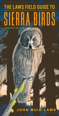 The Laws Field Guide to Sierra Birds: A Hiker's Guide [KSIĄŻKA]