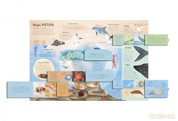 The Lift-the-Flap Encyclopaedia of Oceans: 200 Flaps to Explore! [KSIĄŻKA]