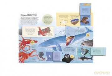 The Lift-the-Flap Encyclopaedia of Oceans: 200 Flaps to Explore! [KSIĄŻKA]