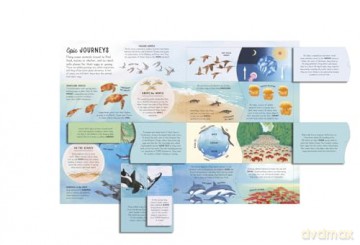 The Lift-the-Flap Encyclopaedia of Oceans: 200 Flaps to Explore! [KSIĄŻKA]