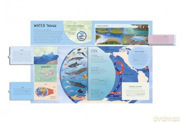 The Lift-the-Flap Encyclopaedia of Oceans: 200 Flaps to Explore! [KSIĄŻKA]