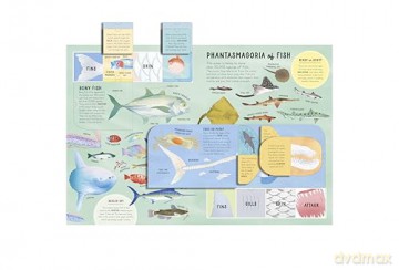 The Lift-the-Flap Encyclopaedia of Oceans: 200 Flaps to Explore! [KSIĄŻKA]
