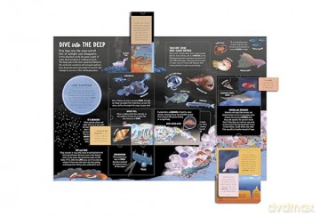 The Lift-the-Flap Encyclopaedia of Oceans: 200 Flaps to Explore! [KSIĄŻKA]