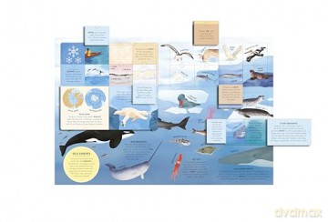 The Lift-the-Flap Encyclopaedia of Oceans: 200 Flaps to Explore! [KSIĄŻKA]