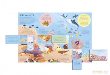 The Lift-the-Flap Encyclopaedia of Oceans: 200 Flaps to Explore! [KSIĄŻKA]