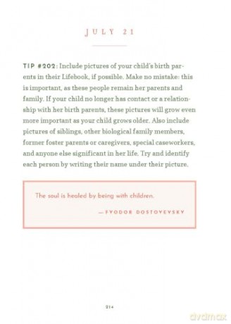 The Little Book of Foster Care Wisdom: 365 Days of Inspiration and Encouragement for Foster Care Families [KSIĄŻKA]