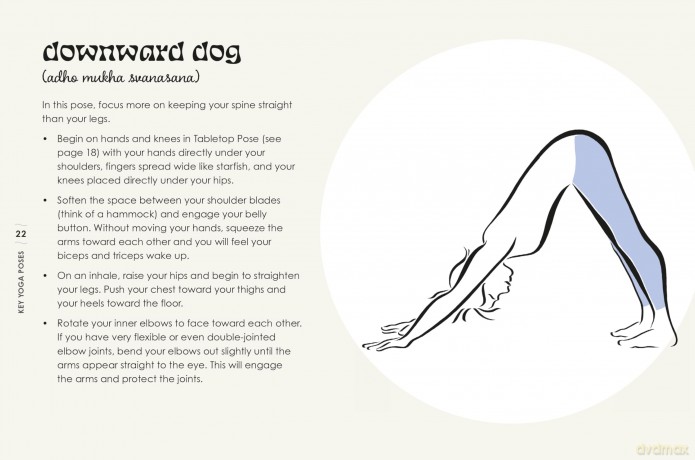 The Little Book of Yoga: Revitalize your body, mind, and spirit [KSIĄŻKA]