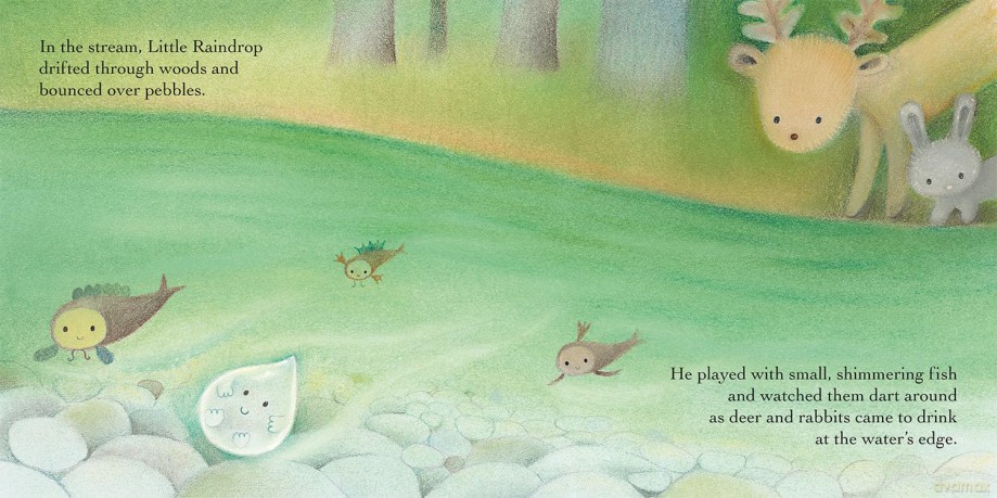 The Little Raindrop - A water cycle story [KSIĄŻKA]