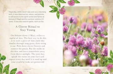 The Little Wild Library: Clover: Simple things to do with the plants around you. [KSIĄŻKA]