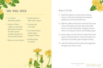 The Little Wild Library: Dandelion: Simple things to do with the plants around you. [KSIĄŻKA]