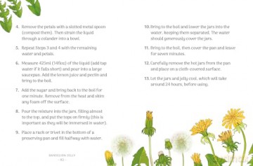 The Little Wild Library: Dandelion: Simple things to do with the plants around you. [KSIĄŻKA]