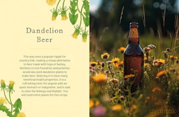 The Little Wild Library: Dandelion: Simple things to do with the plants around you. [KSIĄŻKA]