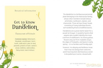 The Little Wild Library: Dandelion: Simple things to do with the plants around you. [KSIĄŻKA]