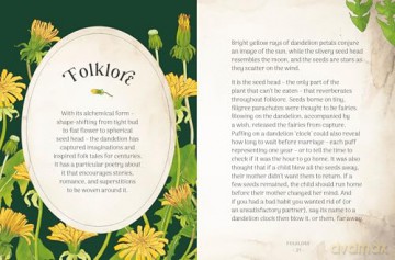 The Little Wild Library: Dandelion: Simple things to do with the plants around you. [KSIĄŻKA]