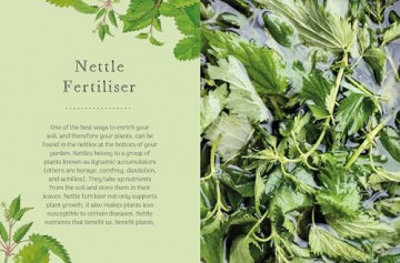The Little Wild Library: Nettle: Simple things to do with the plants around you [KSIĄŻKA]