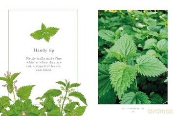 The Little Wild Library: Nettle: Simple things to do with the plants around you [KSIĄŻKA]