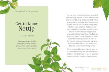The Little Wild Library: Nettle: Simple things to do with the plants around you [KSIĄŻKA]
