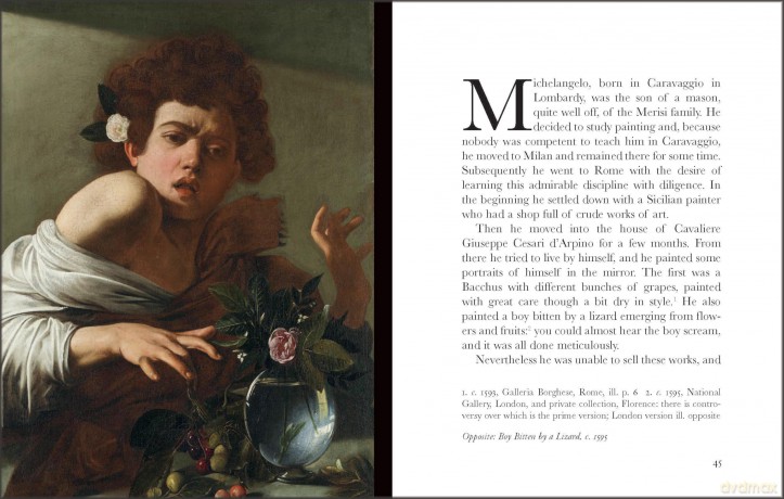 The Lives of Caravaggio [KSIĄŻKA]