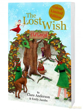 The Lost Wish [KSIĄŻKA]