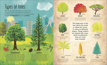 The Magic and Mystery of Trees [KSIĄŻKA]