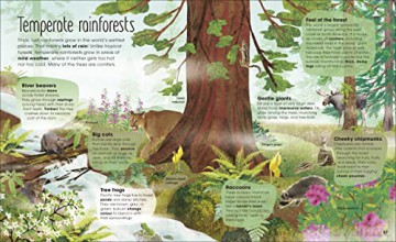 The Magic and Mystery of Trees [KSIĄŻKA]