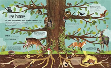 The Magic and Mystery of Trees [KSIĄŻKA]